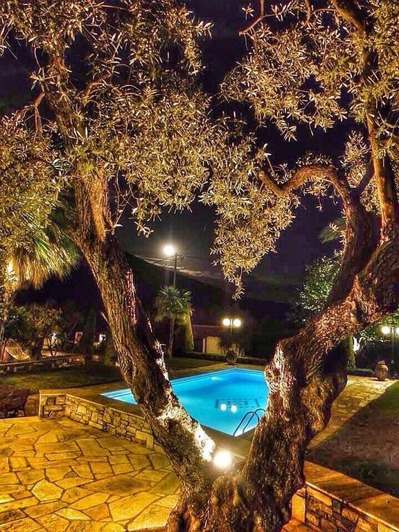 Villa Olive Áno Lekhónia 客房 照片